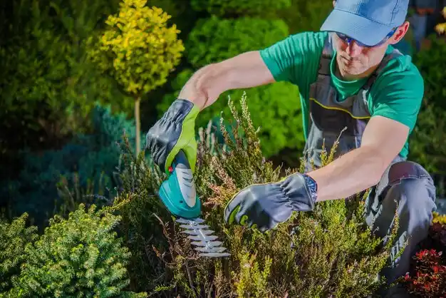 landscaping services Westland
